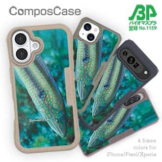 【Compos-Case】熱帯魚　No.8　キュウセンベラ