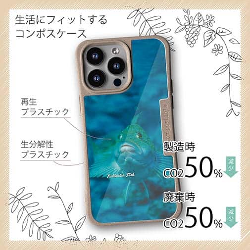 【Compos-Case】熱帯魚　No.9　クジメ