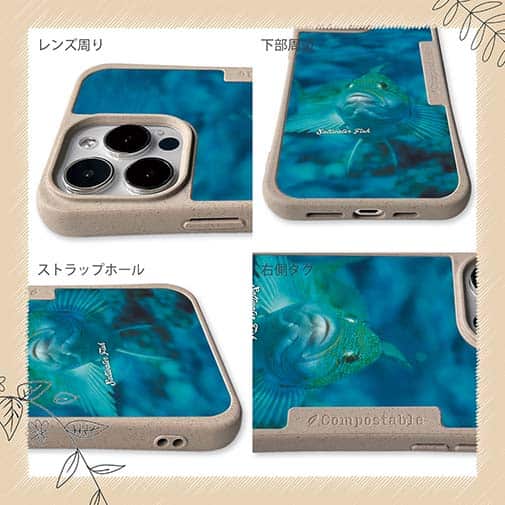 【Compos-Case】熱帯魚　No.9　クジメ