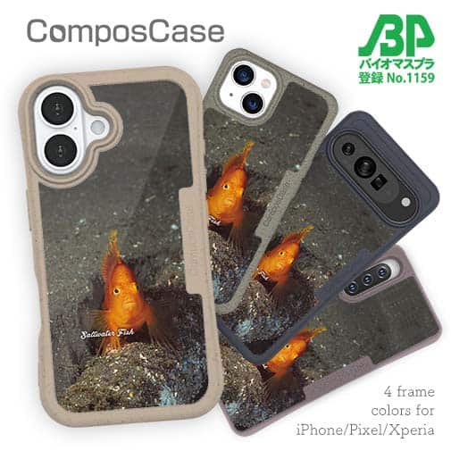 【Compos-Case】熱帯魚　No.10　ウイゴンベ
