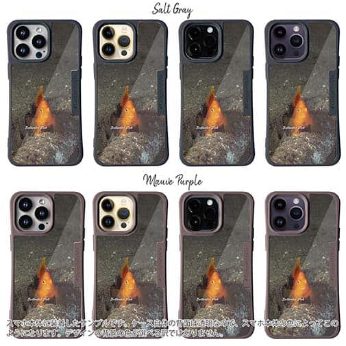 【Compos-Case】熱帯魚　No.10　ウイゴンベ