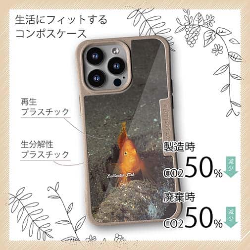 【Compos-Case】熱帯魚　No.10　ウイゴンベ