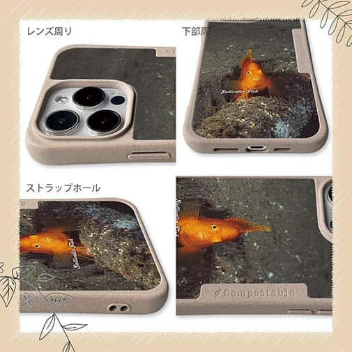 【Compos-Case】熱帯魚　No.10　ウイゴンベ