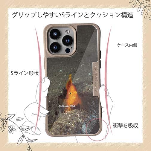 【Compos-Case】熱帯魚　No.10　ウイゴンベ