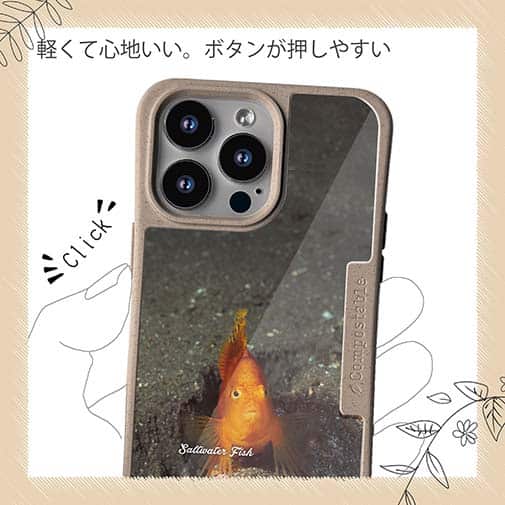 【Compos-Case】熱帯魚　No.10　ウイゴンベ