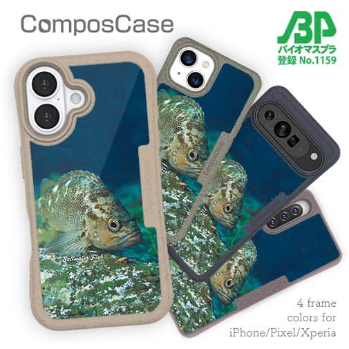 【Compos-Case】熱帯魚　No.11　メバル