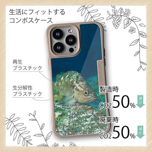 【Compos-Case】熱帯魚　No.11　メバル