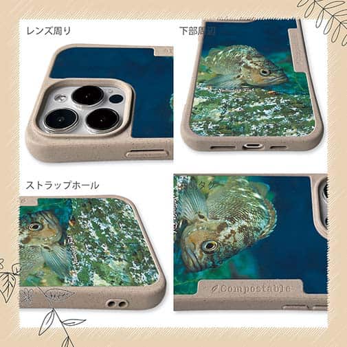 【Compos-Case】熱帯魚　No.11　メバル