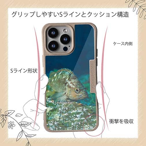 【Compos-Case】熱帯魚　No.11　メバル