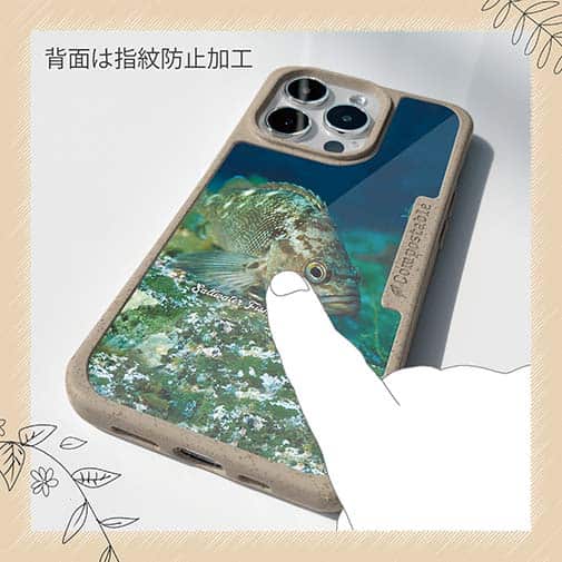 【Compos-Case】熱帯魚　No.11　メバル