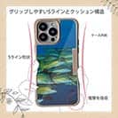 【Compos-Case】熱帯魚　No.14　ヨスジフエダイ