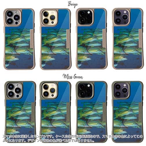 【Compos-Case】熱帯魚　No.14　ヨスジフエダイ