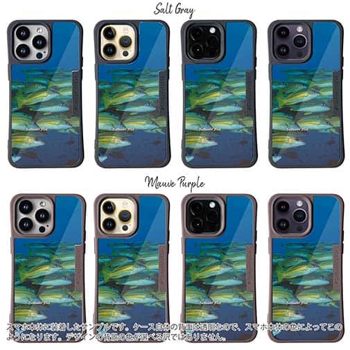 【Compos-Case】熱帯魚　No.14　ヨスジフエダイ