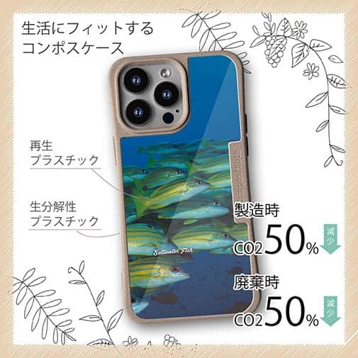 【Compos-Case】熱帯魚　No.14　ヨスジフエダイ