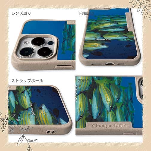 【Compos-Case】熱帯魚　No.14　ヨスジフエダイ