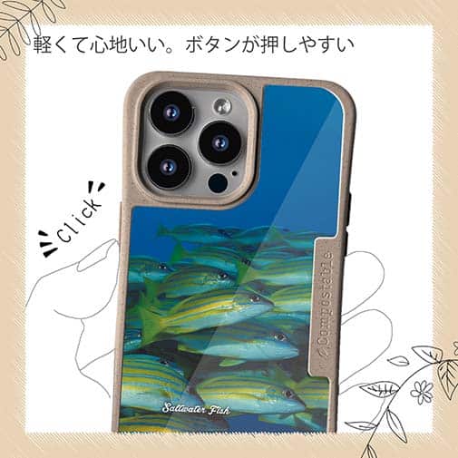 【Compos-Case】熱帯魚　No.14　ヨスジフエダイ