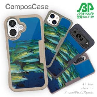 【Compos-Case】熱帯魚　No.14　ヨスジフエダイ