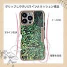 【Compos-Case】熱帯魚　No.16　デバスズメダイの群れ2