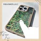 【Compos-Case】熱帯魚　No.16　デバスズメダイの群れ2