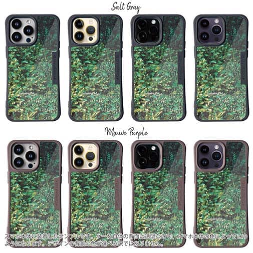 【Compos-Case】熱帯魚　No.16　デバスズメダイの群れ2