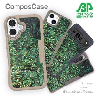 【Compos-Case】熱帯魚　No.16　デバスズメダイの群れ2