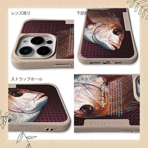 【Compos-Case】マダイ