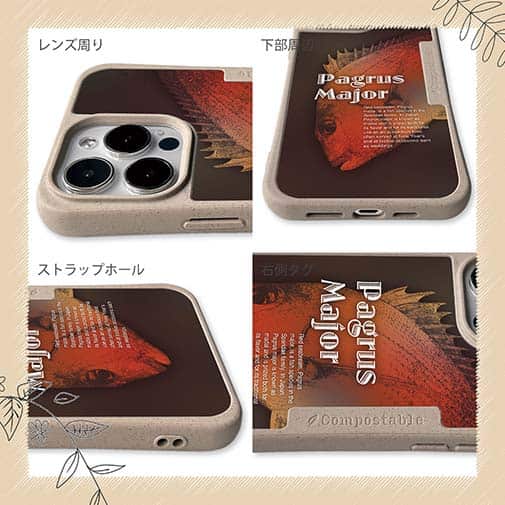 【Compos-Case】ジャジーなマダイ