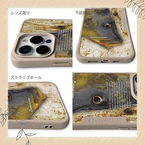 【Compos-Case】コイ(カープ)