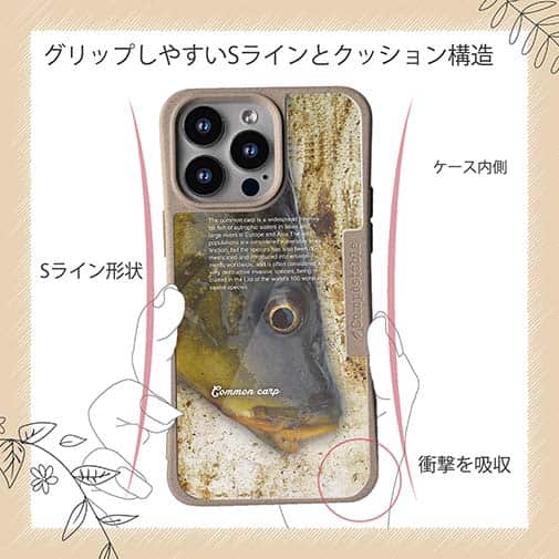 【Compos-Case】コイ(カープ)