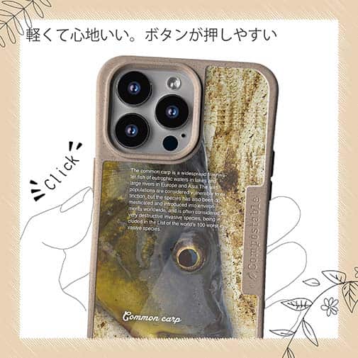 【Compos-Case】コイ(カープ)