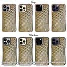 【Compos-Case】コイのウロコ