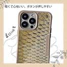 【Compos-Case】コイのウロコ