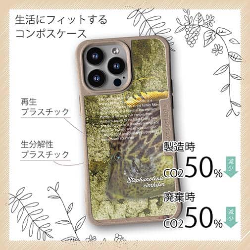 【Compos-Case】カワハギ