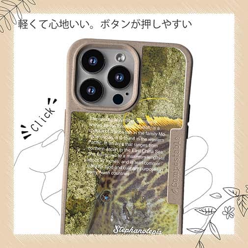 【Compos-Case】カワハギ