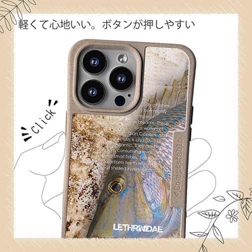 【Compos-Case】タマン(ハマフエフキ)