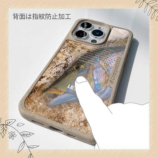 【Compos-Case】タマン(ハマフエフキ)