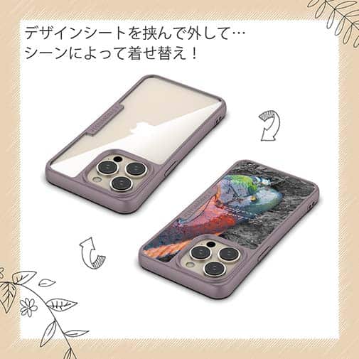 【Compos-Case】アオブダイ