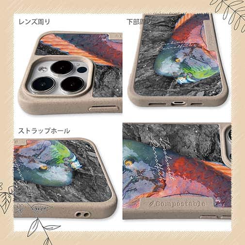 【Compos-Case】アオブダイ