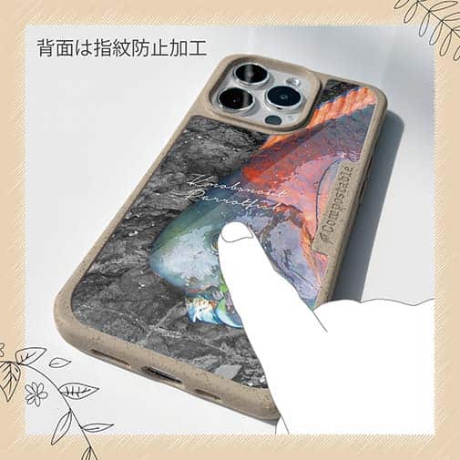 【Compos-Case】アオブダイ