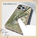 【Compos-Case】表層のギャング・サワラ