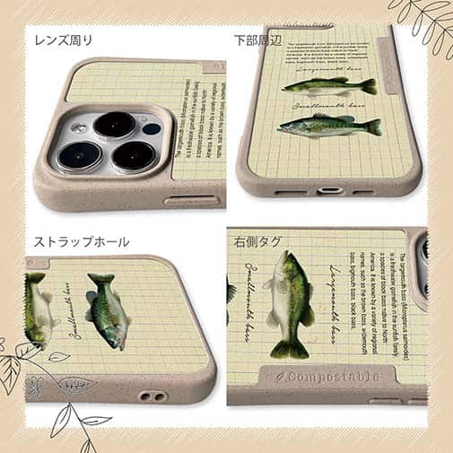 【Compos-Case】オオクチバス(ラージマウスバス)とコクチバス(スモールマウスバス)