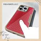 【Compos-Case】エギ柄　トマト