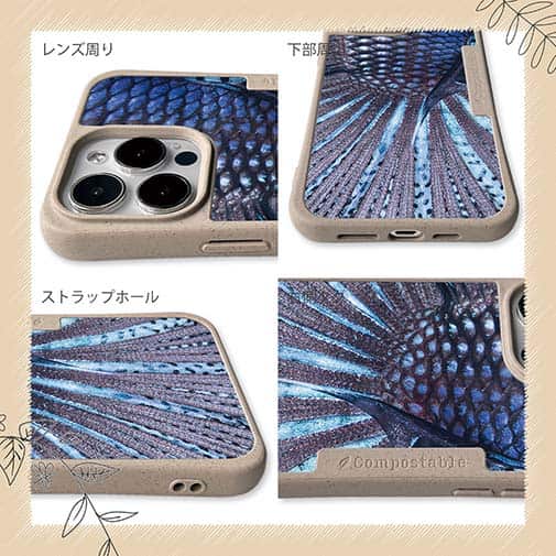 【Compos-Case】トラディショナル・ベタのウロコ