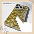 【Compos-Case】ゴールデンテンチの鱗