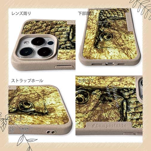 【Compos-Case】ヘラブナ　鉄錆