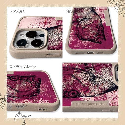 【Compos-Case】イシダイ(クチグロ)　鉄錆