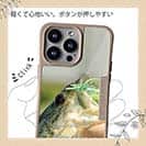 【Compos-Case】ハンドランディング