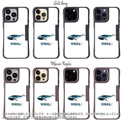 【Compos-Case】ホエールウォッチング