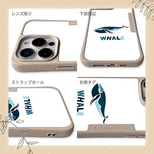 【Compos-Case】ホエールウォッチング