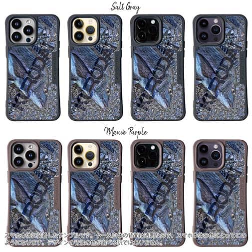 【Compos-Case】クロダイ(チヌ)のHDR